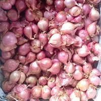 Small-Onion